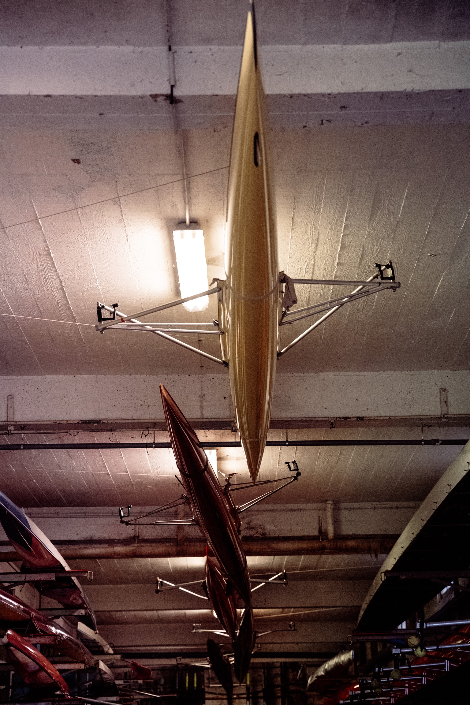 Aviron sur la Loire — photo 13