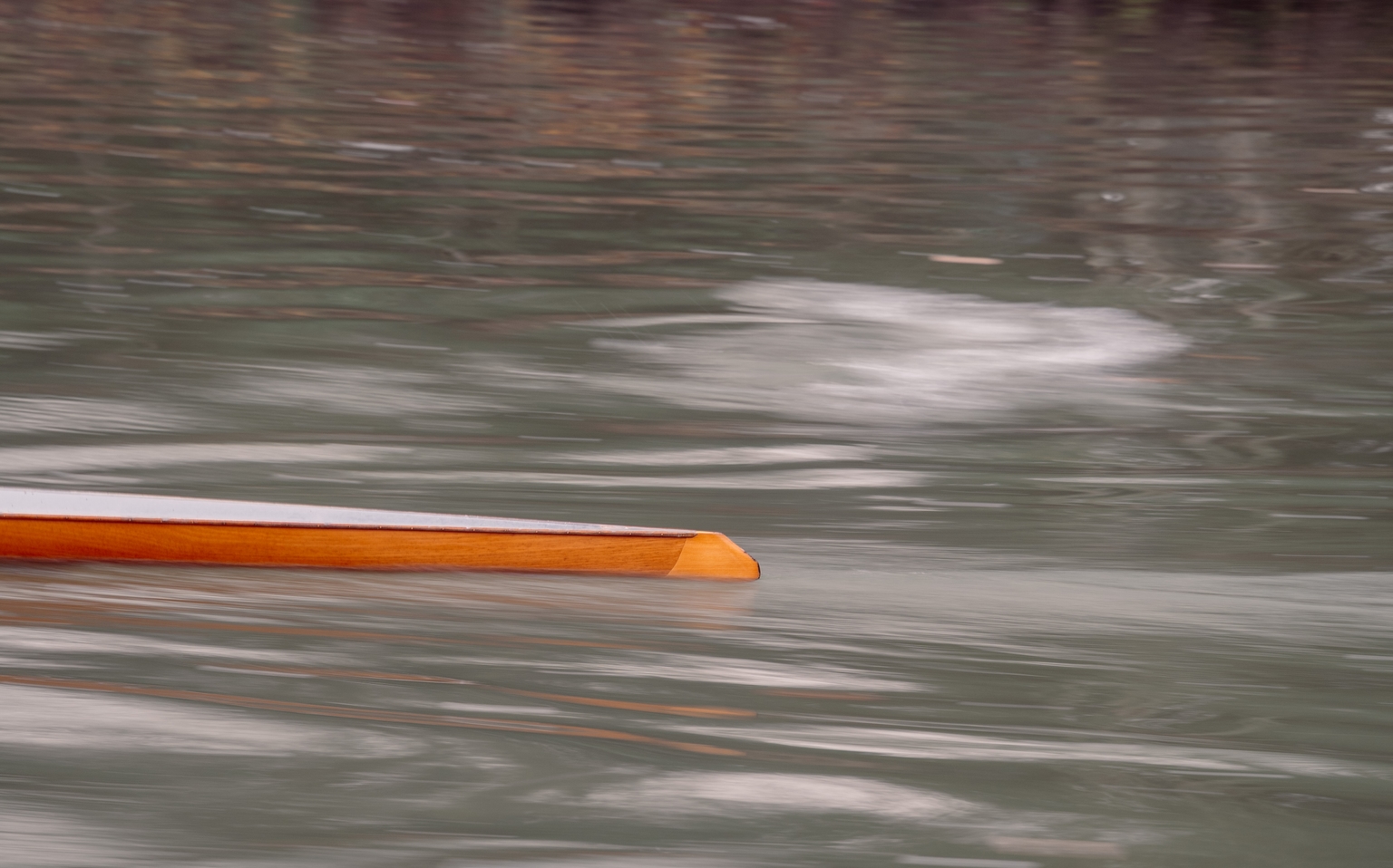 Aviron sur la Loire — photo 7